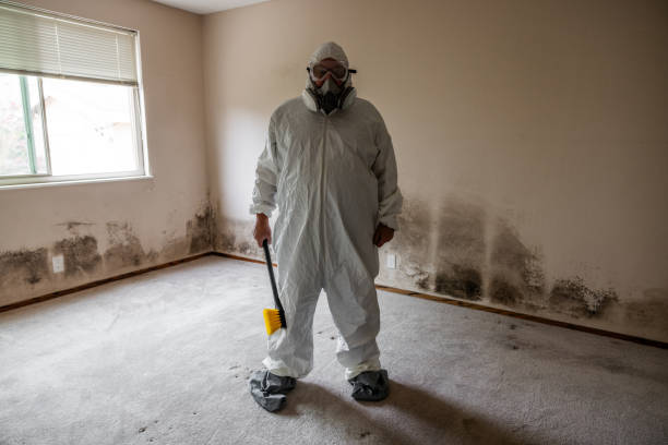 Best Home Mold Removal  in Shawnee, OK