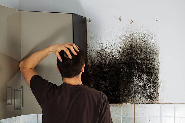 Office Mold Removal Services in Shawnee, OK