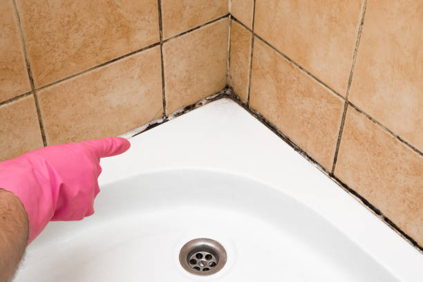 Best Emergency Mold Removal  in Shawnee, OK